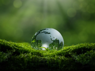 6 estratégias para aprender sobre meio ambiente e se preparar para o vestibular