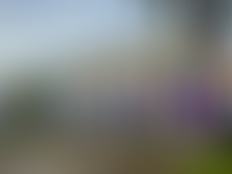 1º edição de 2026 do Cine SEMPS acontece na Casa da Cultura com o filme Sing