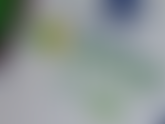 MEI TERÁ NOVA REGRA DA RECEITA FEDERAL; SAIBA MAIS