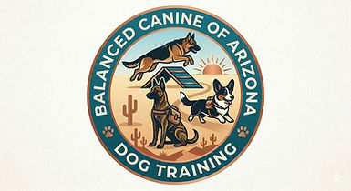 Dog training based in Sun City West, Arizona