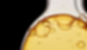 Oil Image.jpg
