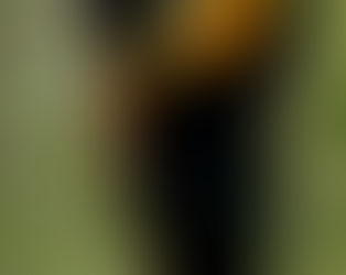 APROVEITE SUA APOSENTADORIA