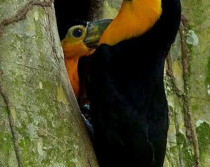 APROVEITE SUA APOSENTADORIA