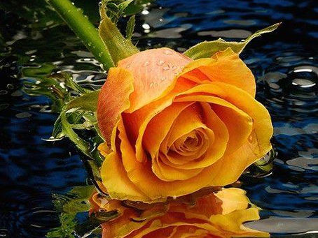 ASSUMINDO OS RISCOS PARA UM NOVO COMEÇO TRÊS MANEIRAS DE SUPERAR OS SEUS MEDOS