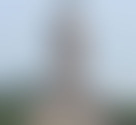 SUGESTÃO DE 4O FILMES e DOCUMENTÁRIOS para DESPERTAR UMA NOVA CONSCIÊNCIA.