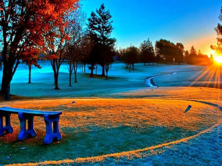 Seja impecável com a sua palavra