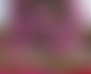 VIVEMOS UMA INICIAÇÃO ESPIRITUAL