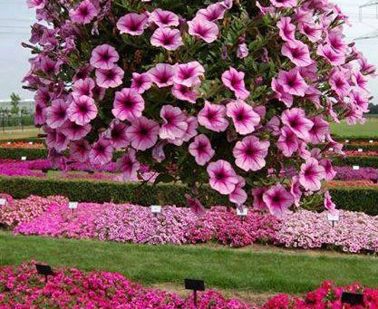 VIVEMOS UMA INICIAÇÃO ESPIRITUAL