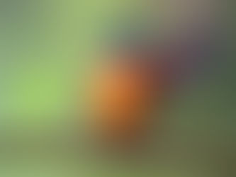 LIBERANDOSABEDORIA DOS ANJOS