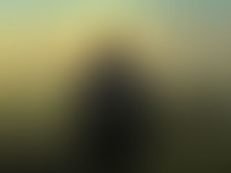 OS NODOS E OS NULOS DA TERRA