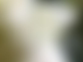 MANTENHA O CORAÇÃO ABERTO