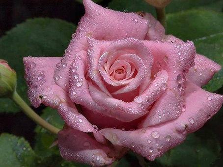 5 MANEIRAS DE LIDAR COM PESSOAS QUE DRENAM SUA ENERGIA VITAL