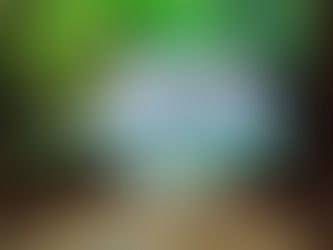 PROGRAMANDO-SE
MENSAGEM DOS ANJOS