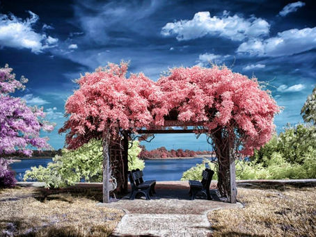 NOVAS FREQUÊNCIAS DE CURA