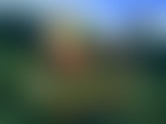 OS ATRIBUTOS DA REENCARNAÇÃO (continuação)