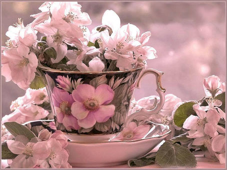 OBSERVE O NOVO SER HUMANO ESTAMOS AGORA NO NOVO NORMAL