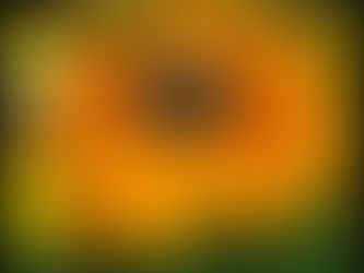 SINTONIZANDO-SE COM A SOLUÇÃO NO MOMENTO PRESENTE