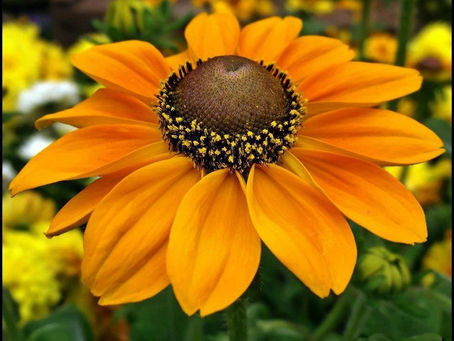 SINTONIZANDO-SE COM A SOLUÇÃO NO MOMENTO PRESENTE