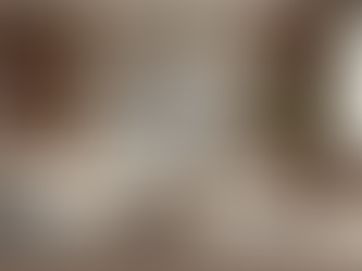 Arquiteto Juraci Dias: Especialista em Design de Interiores