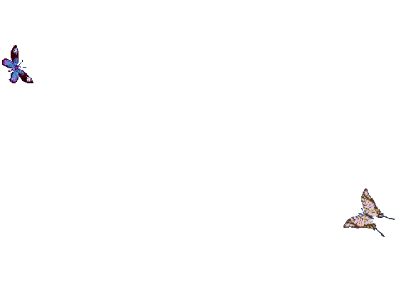 source.gif