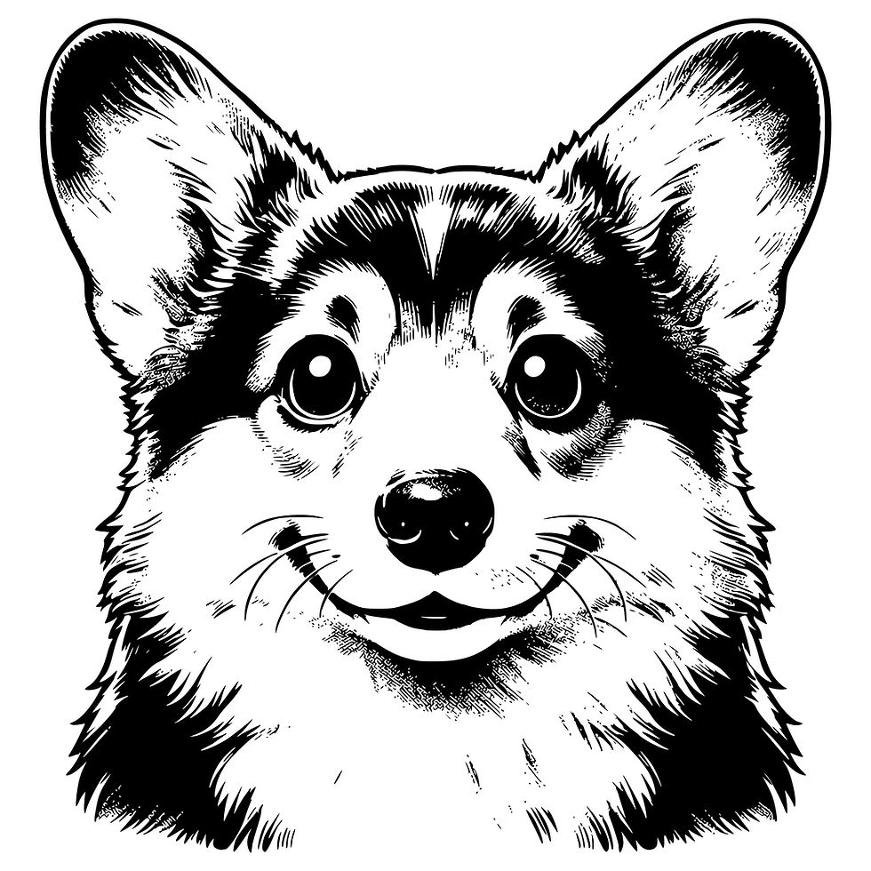 Miniatura: Corgis bundle