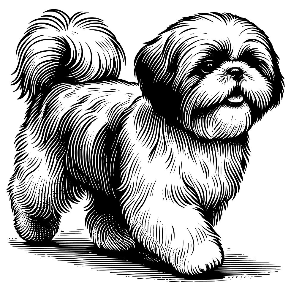 Miniature : Shih tzu dog bundle