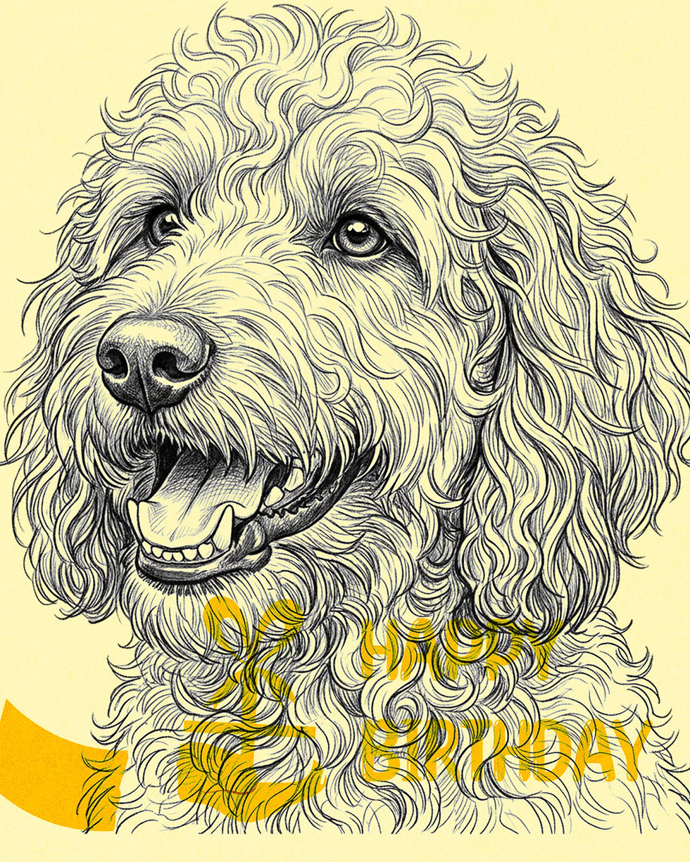 थंबनेल: Goldendoodle dog vector clipart bundle