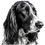 Thumbnail: Afghan hound dog bundle2