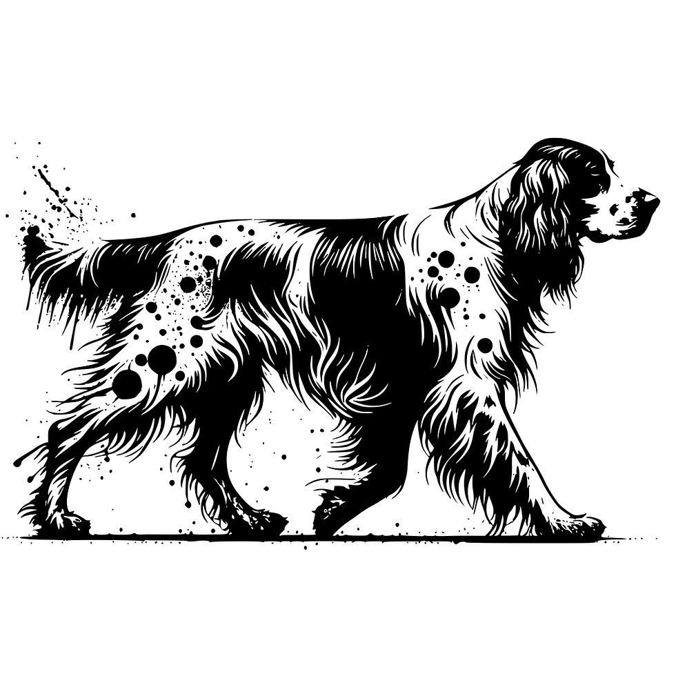 Miniaturbild: English setter bundle