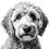 Thumbnail: Golden doodle dog design bundle
