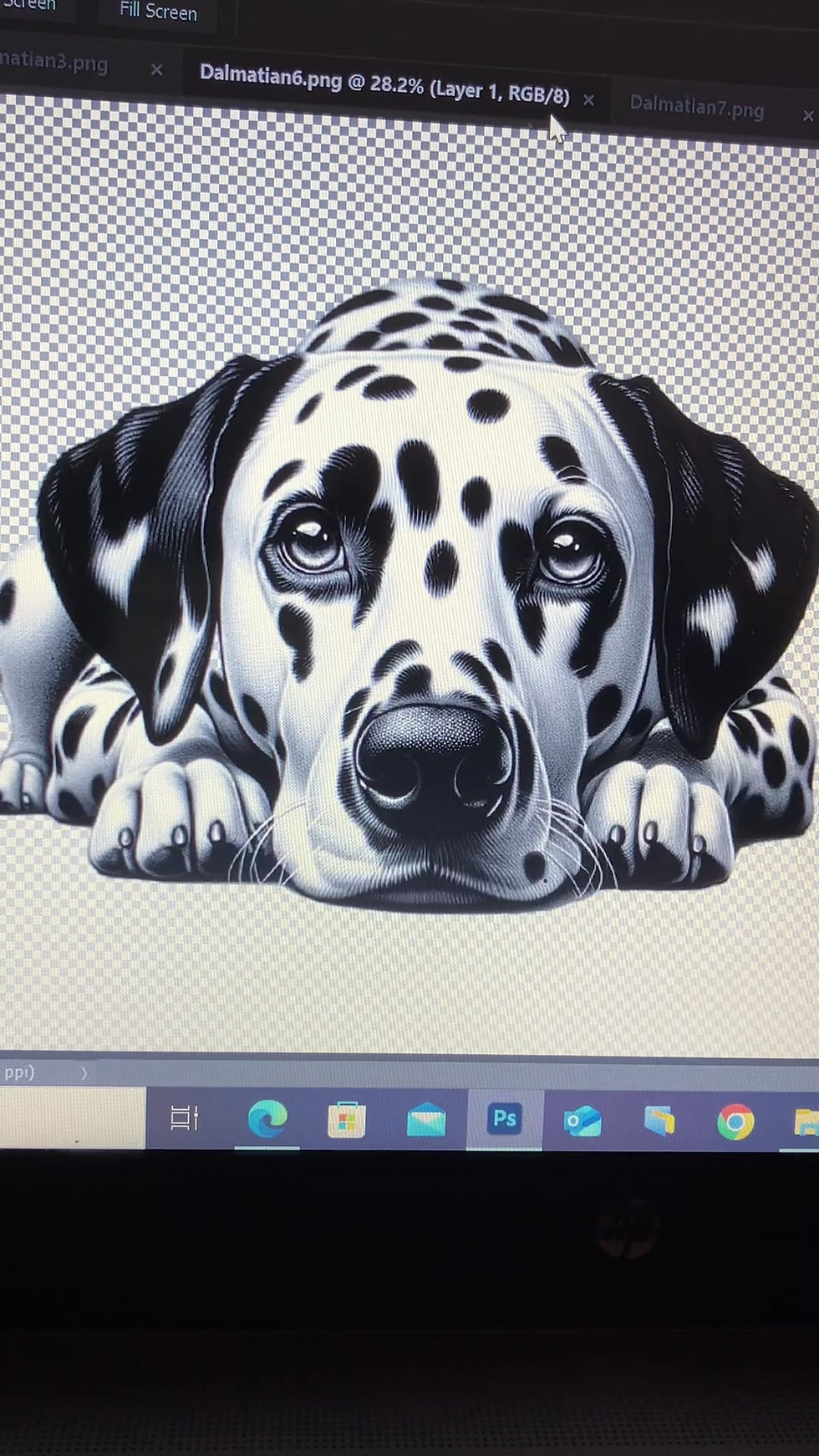 Miniatura: Dalmatian dog bundle