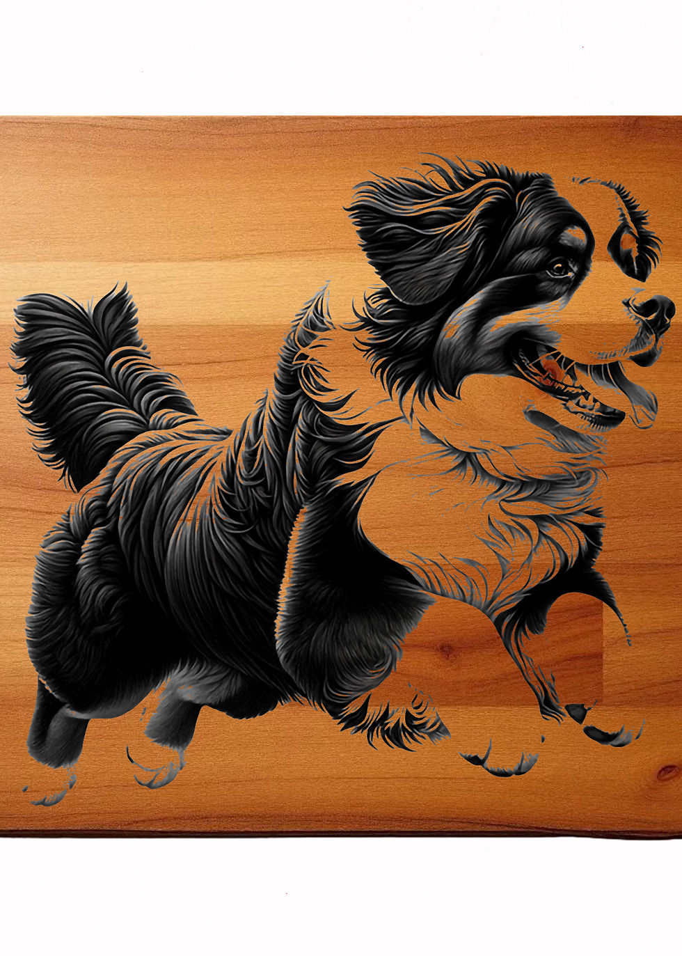 Miniatura: Bernese mountain dog clip art bundle