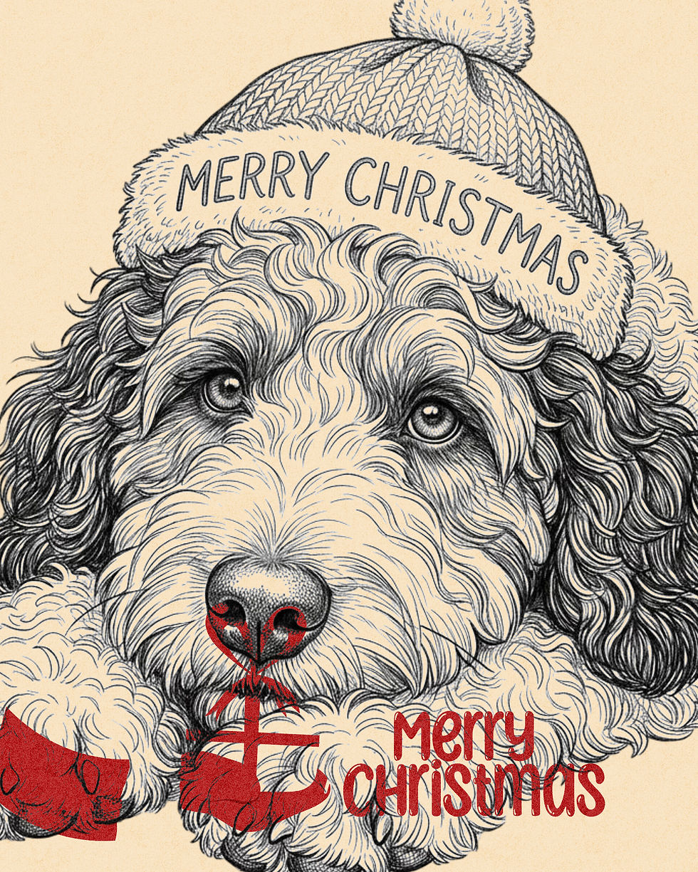 Miniature : Bernedoodle dog clipart bundle gift