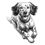 Thumbnail: English setter dog bundle41