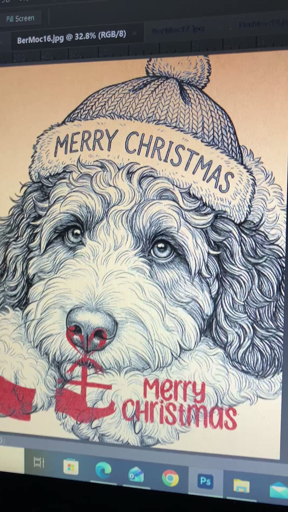 थंबनेल: Bernedoodle dog clipart bundle gift