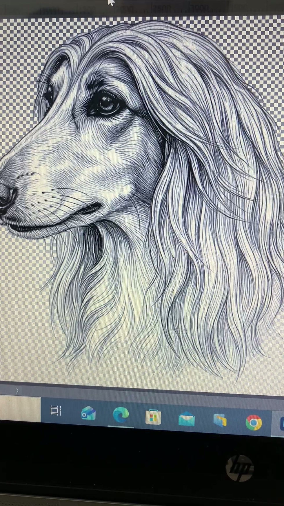縮圖：Afghan hound dog clipart bundle