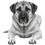 Miniature : Kangal dog svg file bundle