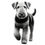 Thumbnail: Airedale terrier dog bundle