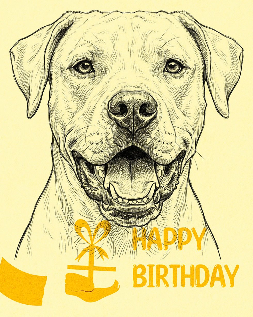 Miniatura: Dog argentinian dogo breed clipart bundle