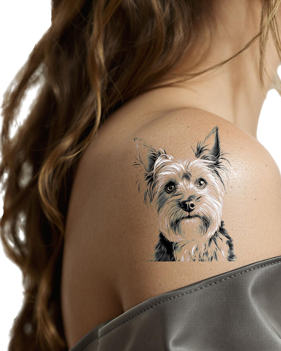 थंबनेल: Yorkie dog bundle4