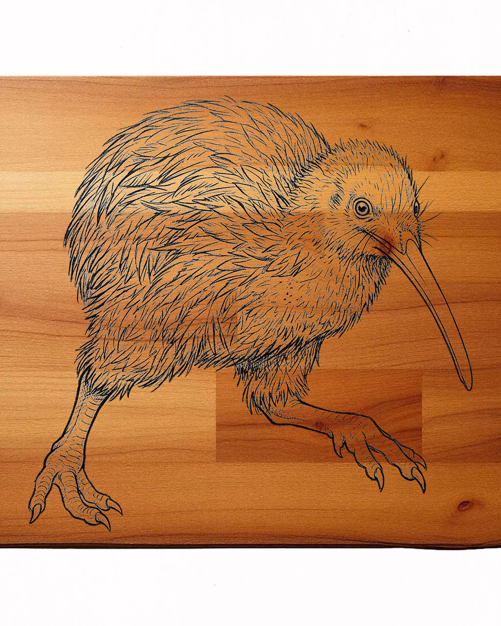 縮圖：Kiwi bird clipart bundle
