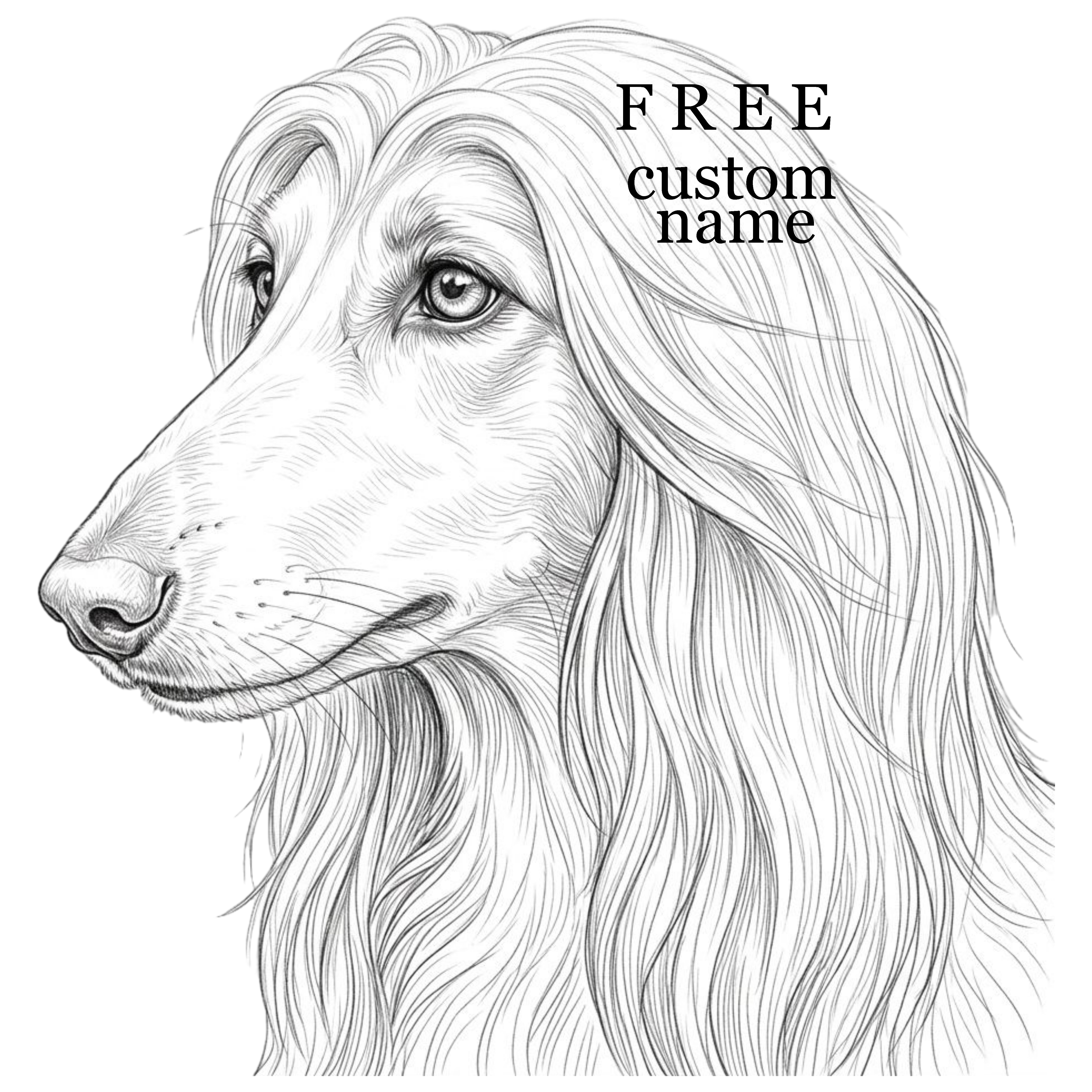 Afghan hound dog clipart bundle
