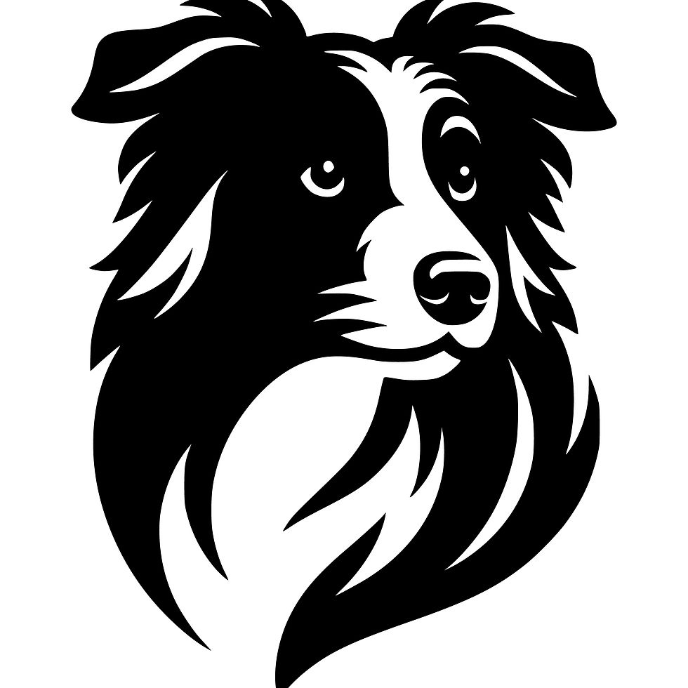 Thumbnail: Border collie dog bundle