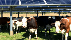 Agrivoltaics