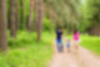 people-walking-footpath-amidst-trees-forest.jpg