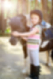 Little girl stroking her pony. Toned image.jpg