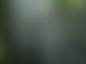 Embrace Excellence in Education: Discover Bodrum British Culture College Middle School