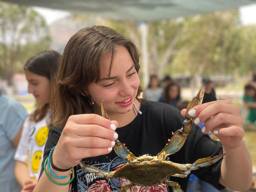 Okul gezilerimiz Tarih ve Doğa temalı Dalyan turu ile başladı.
