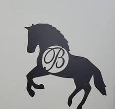 Screenshot 2025-01-30 191845.png