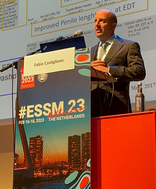 prof fabio castiglione